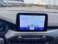Ford Focus 1.5 EcoBlue 120 CV automatico SW Business Blanco - thumbnail 13