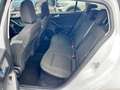 Ford Focus 1.5 EcoBlue 120 CV automatico SW Business Blanco - thumbnail 6