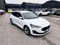 Ford Focus 1.5 EcoBlue 120 CV automatico SW Business Blanco - thumbnail 2