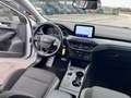 Ford Focus 1.5 EcoBlue 120 CV automatico SW Business Blanco - thumbnail 9