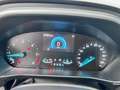 Ford Focus 1.5 EcoBlue 120 CV automatico SW Business Blanco - thumbnail 15