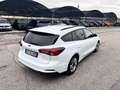 Ford Focus 1.5 EcoBlue 120 CV automatico SW Business Blanco - thumbnail 3
