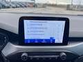 Ford Focus 1.5 EcoBlue 120 CV automatico SW Business Blanco - thumbnail 12