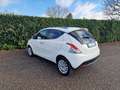 Lancia Ypsilon 1.2 8v Gold s&s 69cv - thumbnail 8