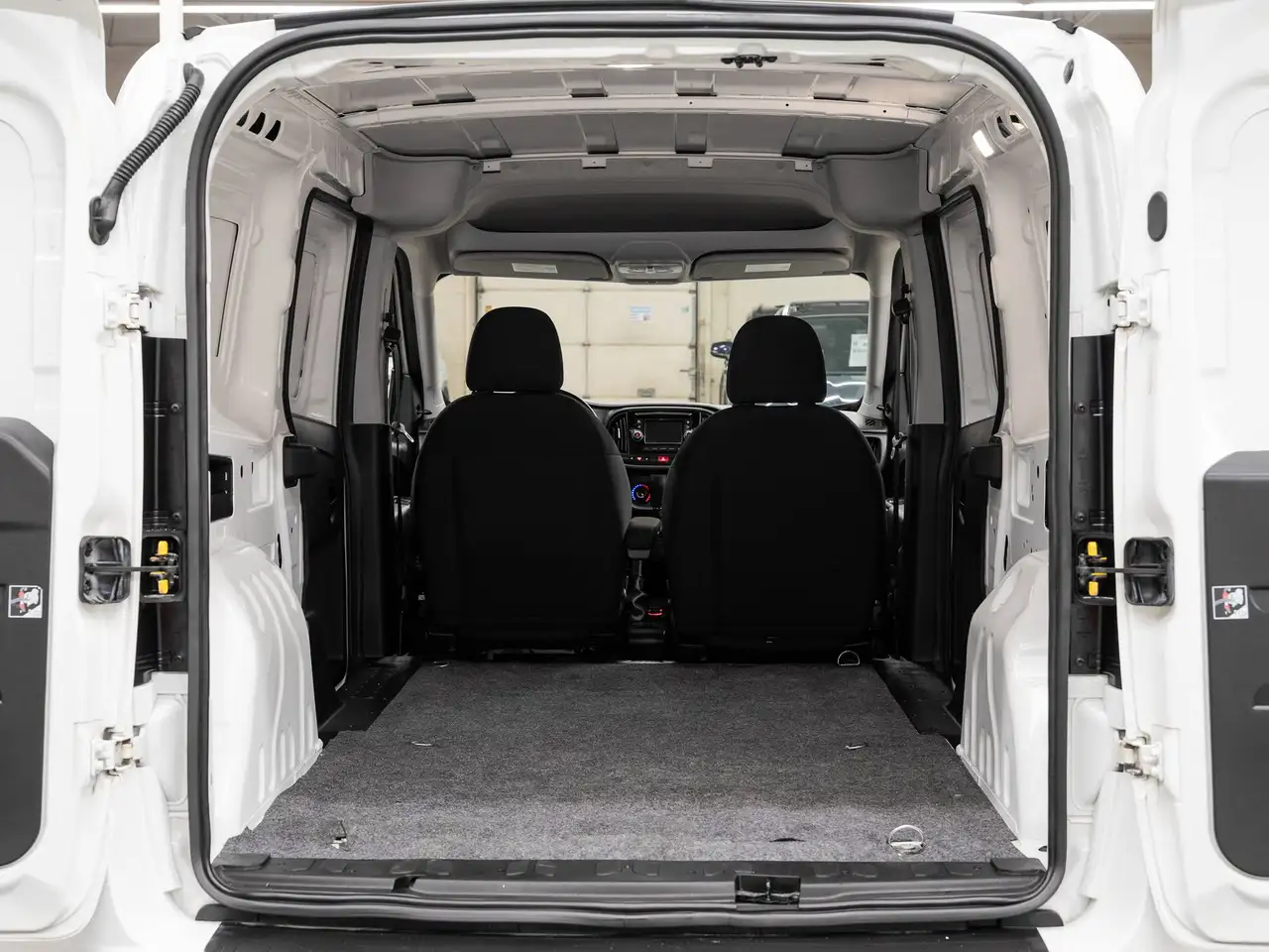 RAM Promaster снимка RAM Promaster