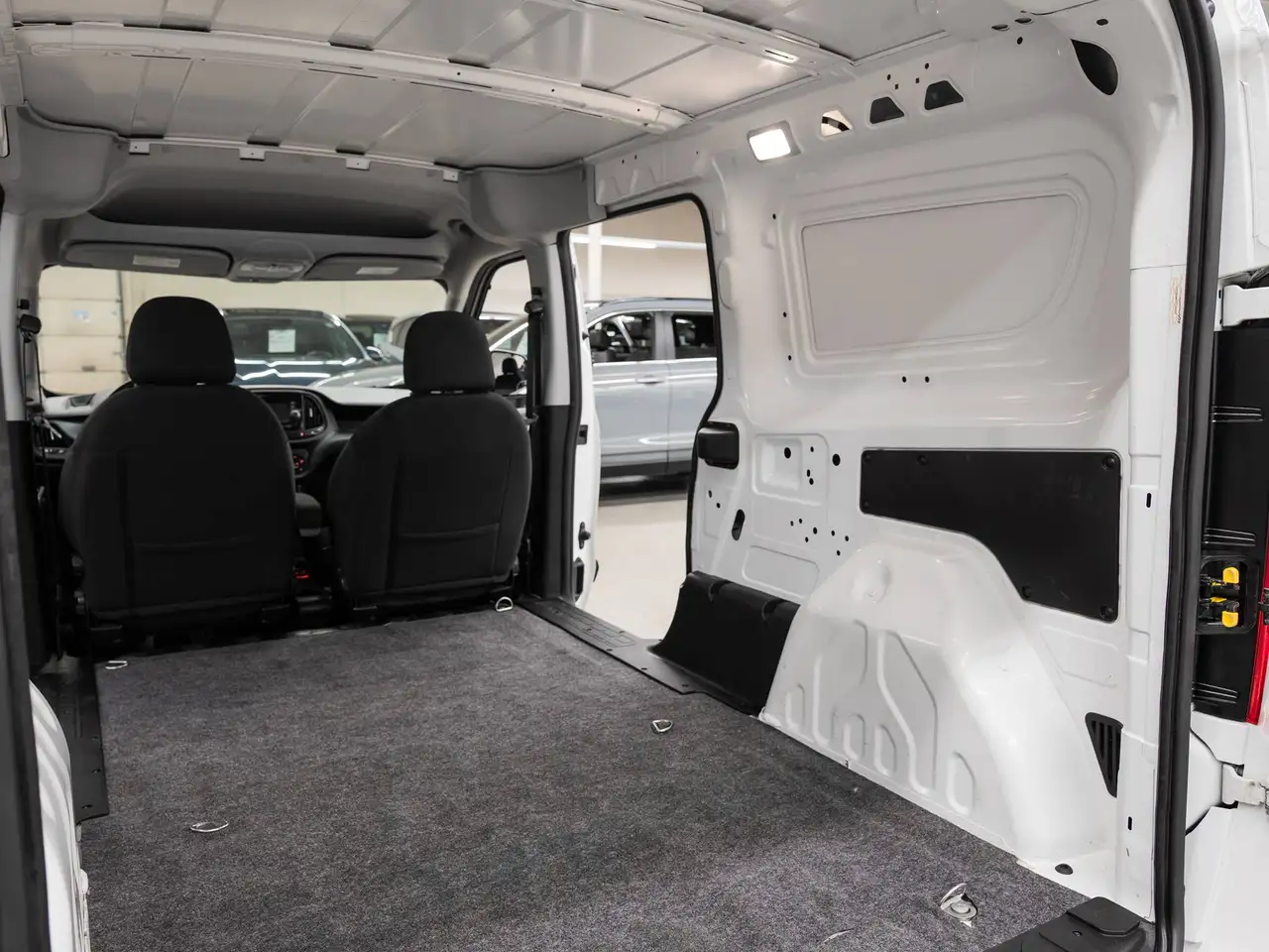 RAM Promaster снимка RAM Promaster