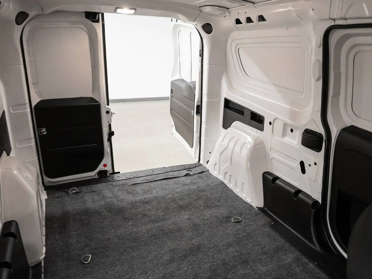 RAM Promaster снимка RAM Promaster