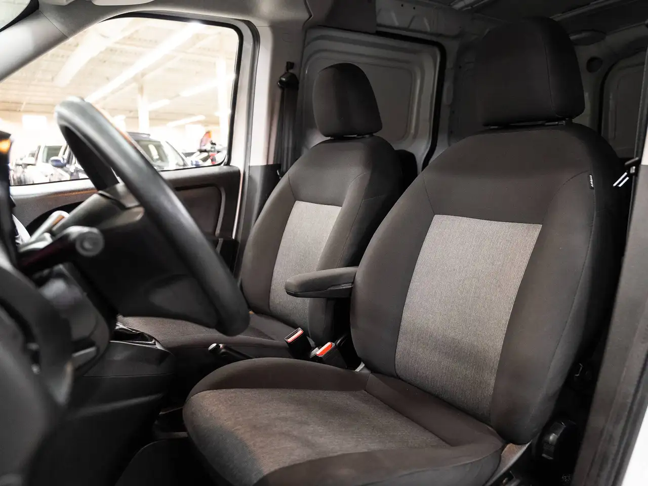RAM Promaster снимка RAM Promaster