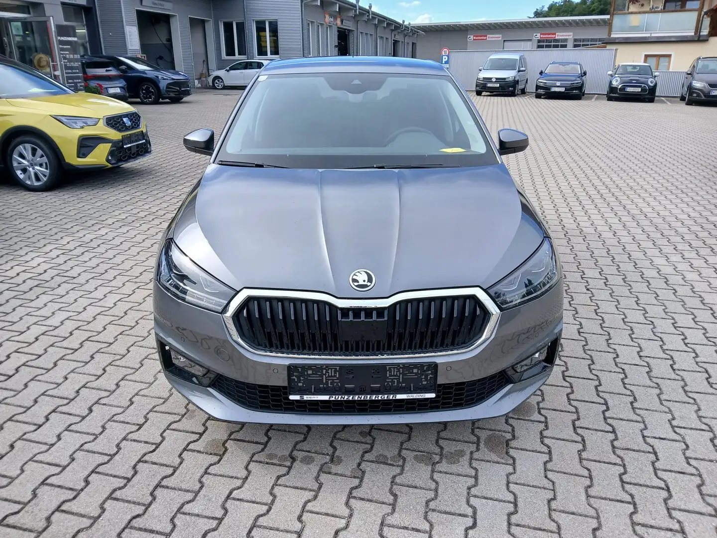 Skoda Fabia Selection TSI Grau - 2