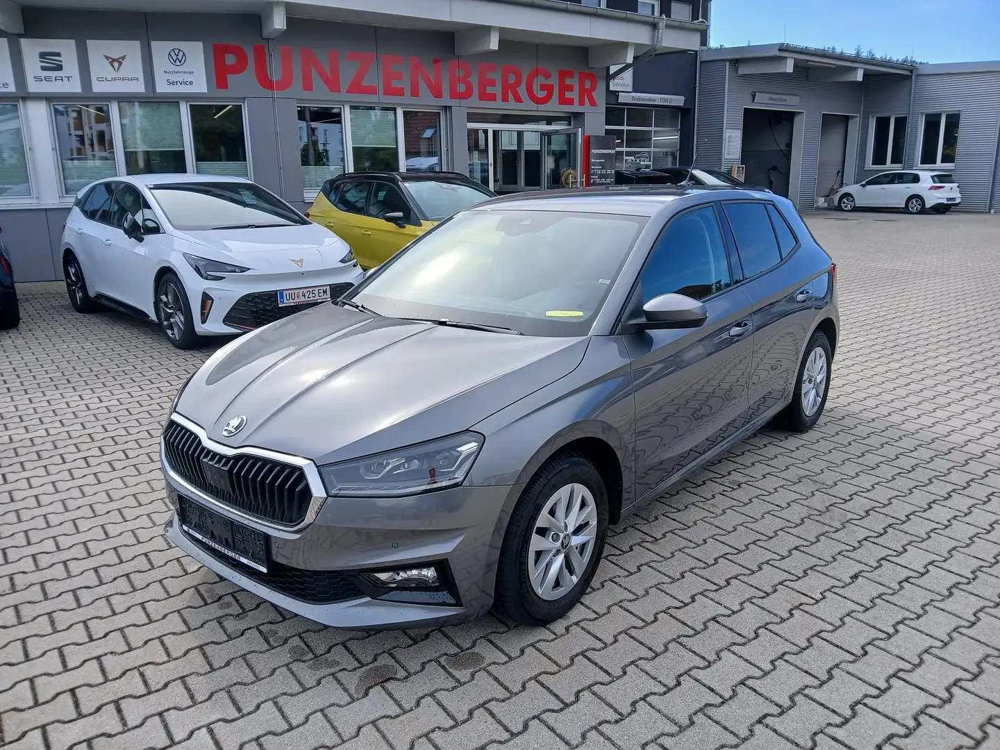 Skoda Fabia Selection TSI Grau - 1