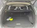 Renault Koleos Koleos dCi 175 4WD Initiale X-Tronic Aut. Initiale Grau - thumbnail 19