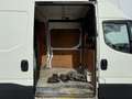 Iveco Daily 70C17 3.0 **Engine Broken** 3.0L L4H2 Dubbellucht Wit - thumbnail 12