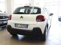 Citroen C3 VAN 1.5 BLUEHDI 100 CV FEEL Bianco - thumbnail 3