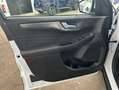 Ford Kuga 2.5 Duratec PHEV TITANIUM Weiß - thumbnail 13
