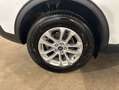 Ford Kuga 2.5 Duratec PHEV TITANIUM Weiß - thumbnail 15