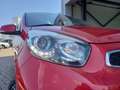 Kia Picanto 1.2 CVVT SportsLine - CLIMA - CRUISE - PDC - LM VE Rouge - thumbnail 10