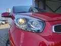 Kia Picanto 1.2 CVVT SportsLine - CLIMA - CRUISE - PDC - LM VE Rouge - thumbnail 15