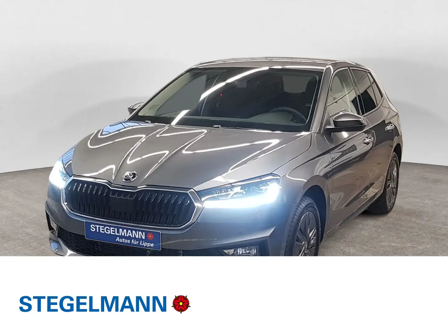 Skoda Fabia 1.0 TSI DSG Tour Grau - 1