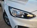 Ford Focus 1.5 Ecoboost 150 pk ST Line Business 1e eig. Winte Blanc - thumbnail 12