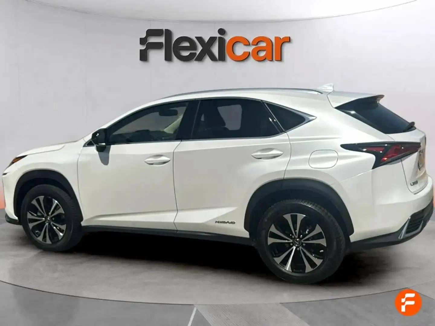 Lexus NX 300h 2.5 Business 2WD Blanco - 2