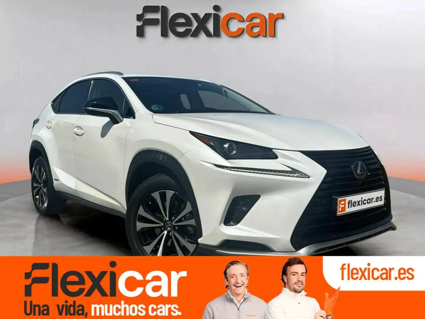 Lexus NX 300h 2.5 Business 2WD Blanco - 1