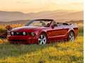 Ford Mustang Mustang Cabrio GT Aut. Rot - thumbnail 13