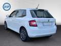 Skoda Fabia 1.0 TSI DSG Ambition AUT AC SHZ PDC BT USB Bianco - thumbnail 5
