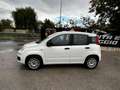Fiat Panda easy Blanc - thumbnail 20