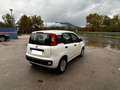 Fiat Panda easy Blanc - thumbnail 14