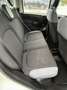 Fiat Panda easy Blanc - thumbnail 8
