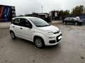 Fiat Panda easy Blanc - thumbnail 15
