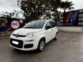Fiat Panda easy Blanc - thumbnail 12