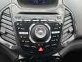 Ford EcoSport 1.5 d Titanium Sport 95cv Grigio - thumbnail 7