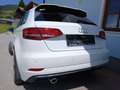 Audi A3 A3 SB 1,6 TDI intense intense Weiß - thumbnail 4
