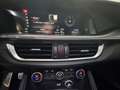 Alfa Romeo Stelvio Executive 2.2 Grigio - thumbnail 12