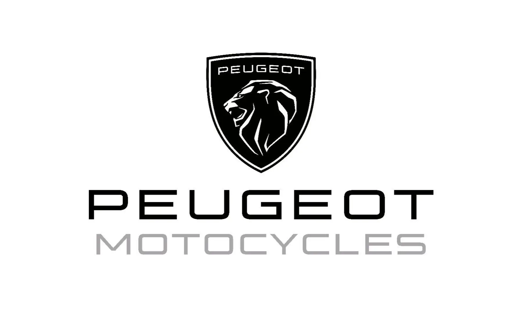 Peugeot Kisbee 50 4T GT Euro 5 Grau - 2