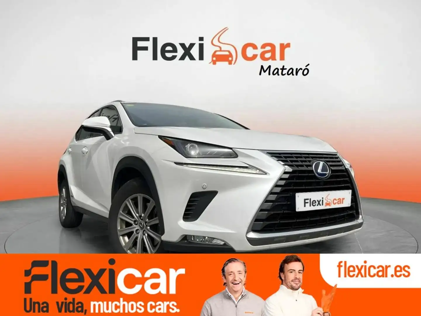 Lexus NX 300 2.5 300h Business Navigation 2WD Blanco - 1