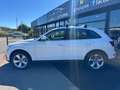 Audi Q5 2.0 TDI SPORT NAVI PDC AUTOMATICA Bianco - thumbnail 8
