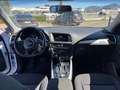 Audi Q5 2.0 TDI SPORT NAVI PDC AUTOMATICA Bianco - thumbnail 10