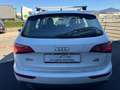 Audi Q5 2.0 TDI SPORT NAVI PDC AUTOMATICA Bianco - thumbnail 6