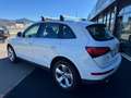 Audi Q5 2.0 TDI SPORT NAVI PDC AUTOMATICA Bianco - thumbnail 5