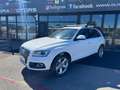 Audi Q5 2.0 TDI SPORT NAVI PDC AUTOMATICA Bianco - thumbnail 2