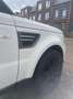 Land Rover Range Rover Sport 3.0 TdV6 HSE Wit - thumbnail 2