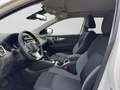 Nissan Qashqai N-Connecta 360 Navi Pano Ambiente Spurha Weiß - thumbnail 10