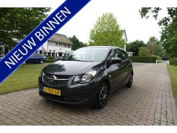 1.0 ecoFLEX 120 Jaar Edition | CarPlay | PDC | Cru