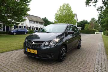 1.0 ecoFLEX 120 Jaar Edition | CarPlay | PDC | Cru