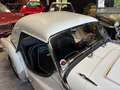 Triumph TR3 Blanc - thumbnail 15