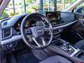 Audi Q5 35 TDI S tronic Business Advanced Blu/Azzurro - thumbnail 13