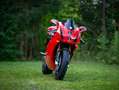 Ducati 999 S Red - thumbnail 10