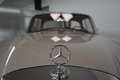 Mercedes-Benz 250 SE Coupe KOMPLETT RESTAURIERT/KÜHLER/SERVOLE Gris - thumbnail 15